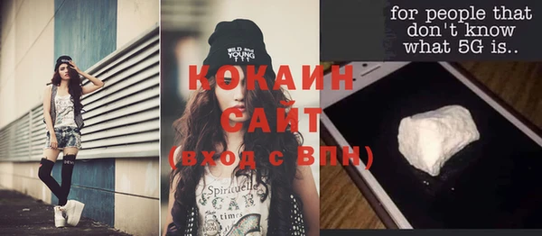 ГАЛЛЮЦИНОГЕННЫЕ ГРИБЫ Горно-Алтайск