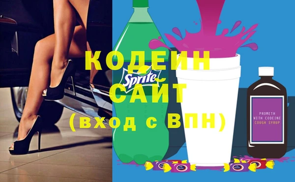 шишки Горняк