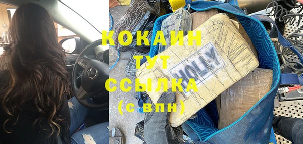 шишки Горняк