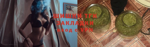 ГАЛЛЮЦИНОГЕННЫЕ ГРИБЫ Горно-Алтайск