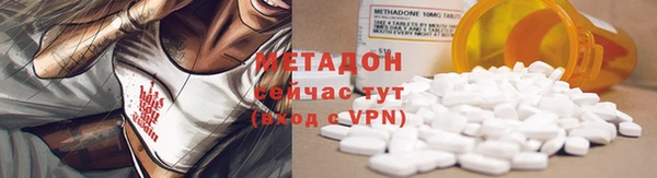шишки Горняк