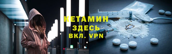 шишки Горняк