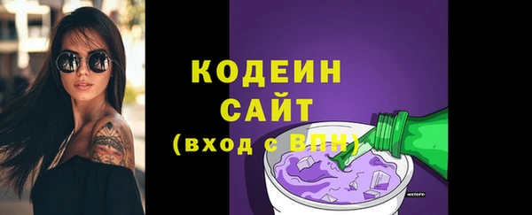 шишки Горняк