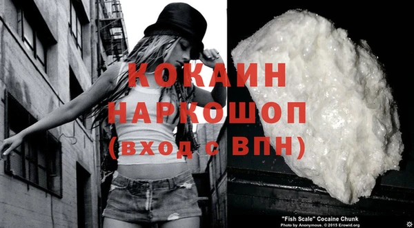 ГАЛЛЮЦИНОГЕННЫЕ ГРИБЫ Горно-Алтайск