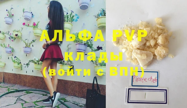 шишки Горняк