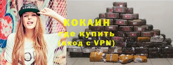 шишки Горняк