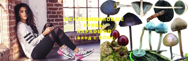 шишки Горняк