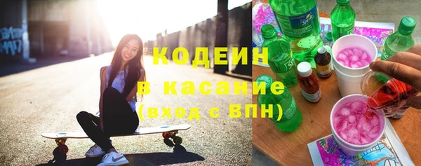 шишки Горняк