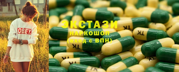 шишки Горняк