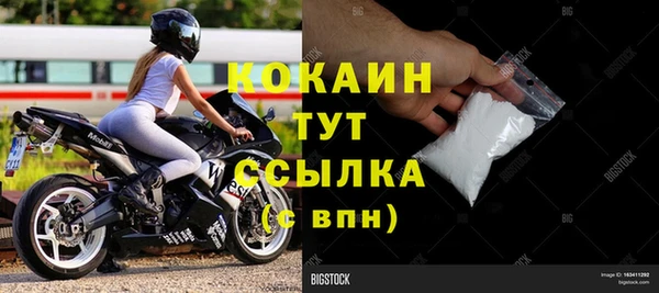 ГАЛЛЮЦИНОГЕННЫЕ ГРИБЫ Горно-Алтайск