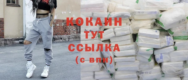 шишки Горняк