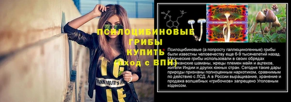 шишки Горняк